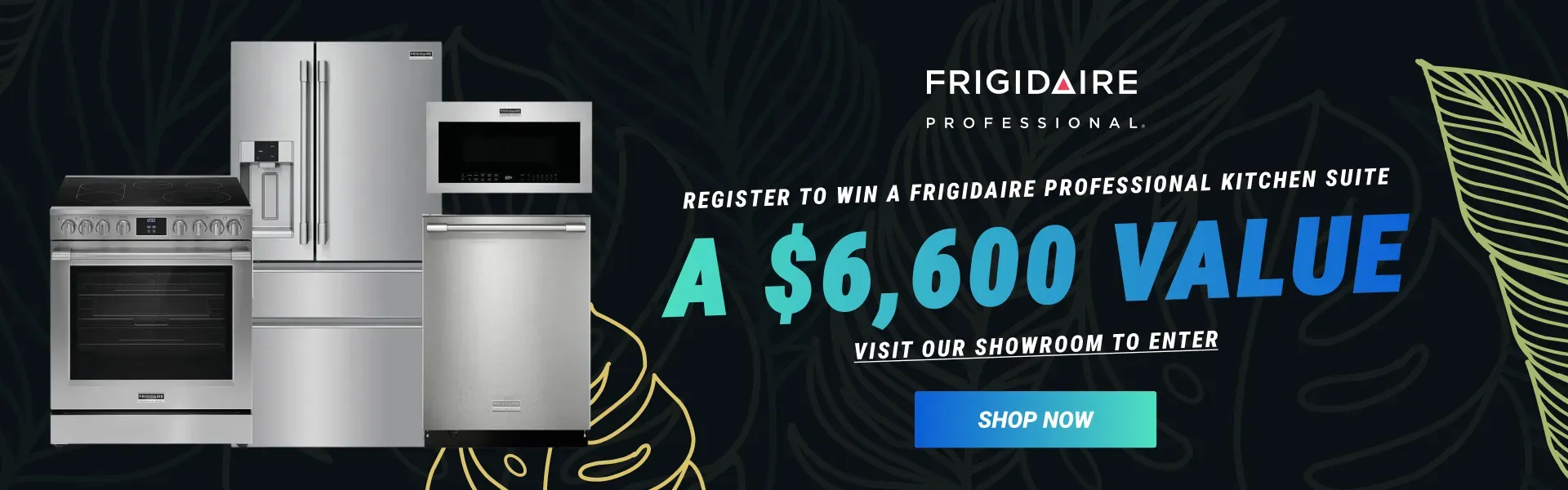 Black Friday Frigidaire Professional 